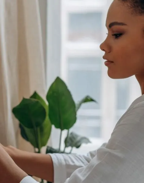 image_683f1aa8bc9e55.55986801-1