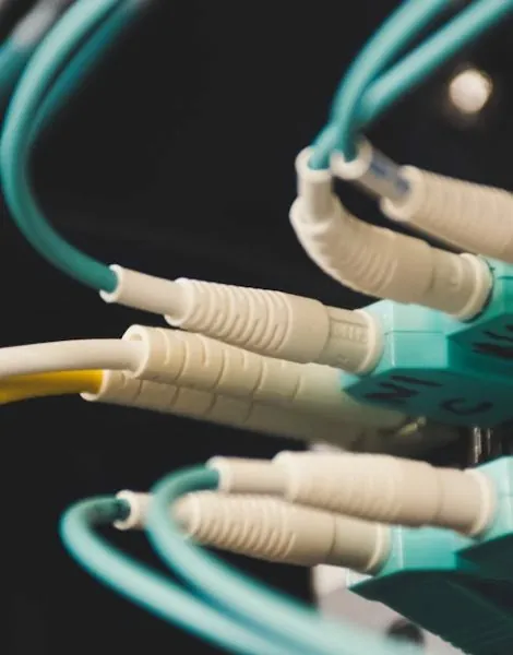 image_683f1ab413bd25.72381154-1